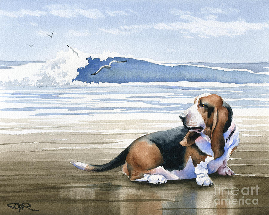 Dog Painting - Basset Hound At The Beach by David Rogers