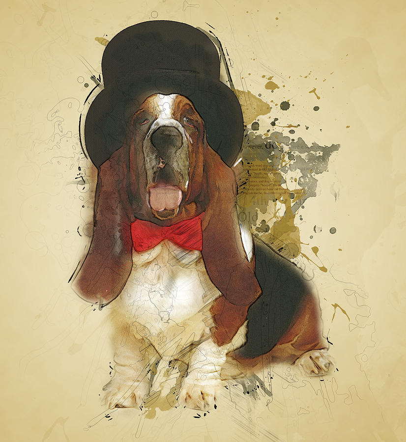 Dog Mixed Media - Basset Hound by BONB Creative