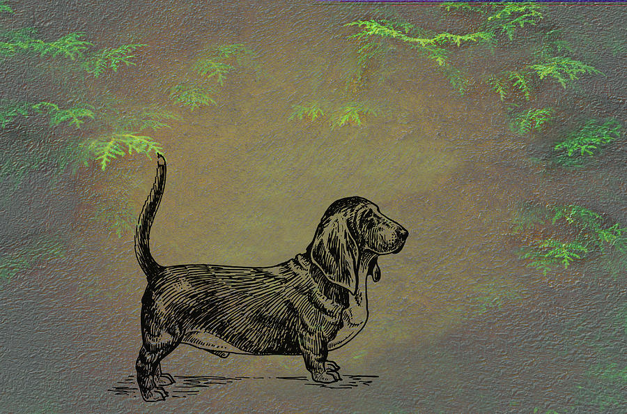 Basset Hound  Mixed Media by Movie Poster Prints
