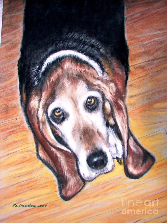 Basset Hound  Painting by Pat Davidson
