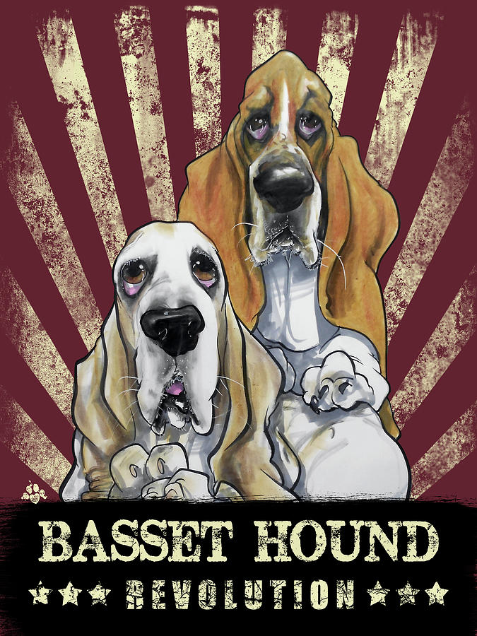 Basset Hound Drawing - Basset Hound Revolution by John LaFree