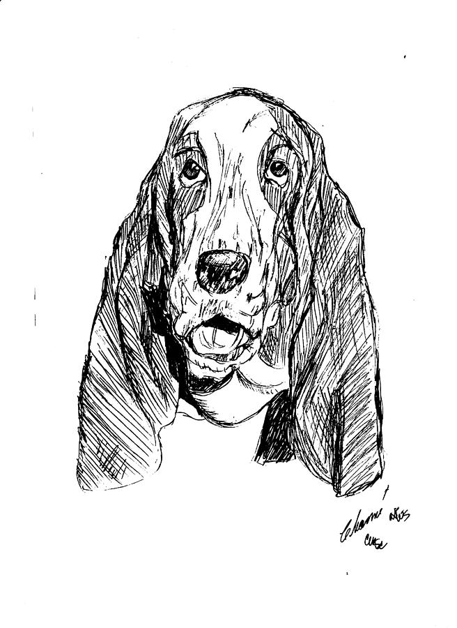 Basset Smiling Drawing by Charme Curtin