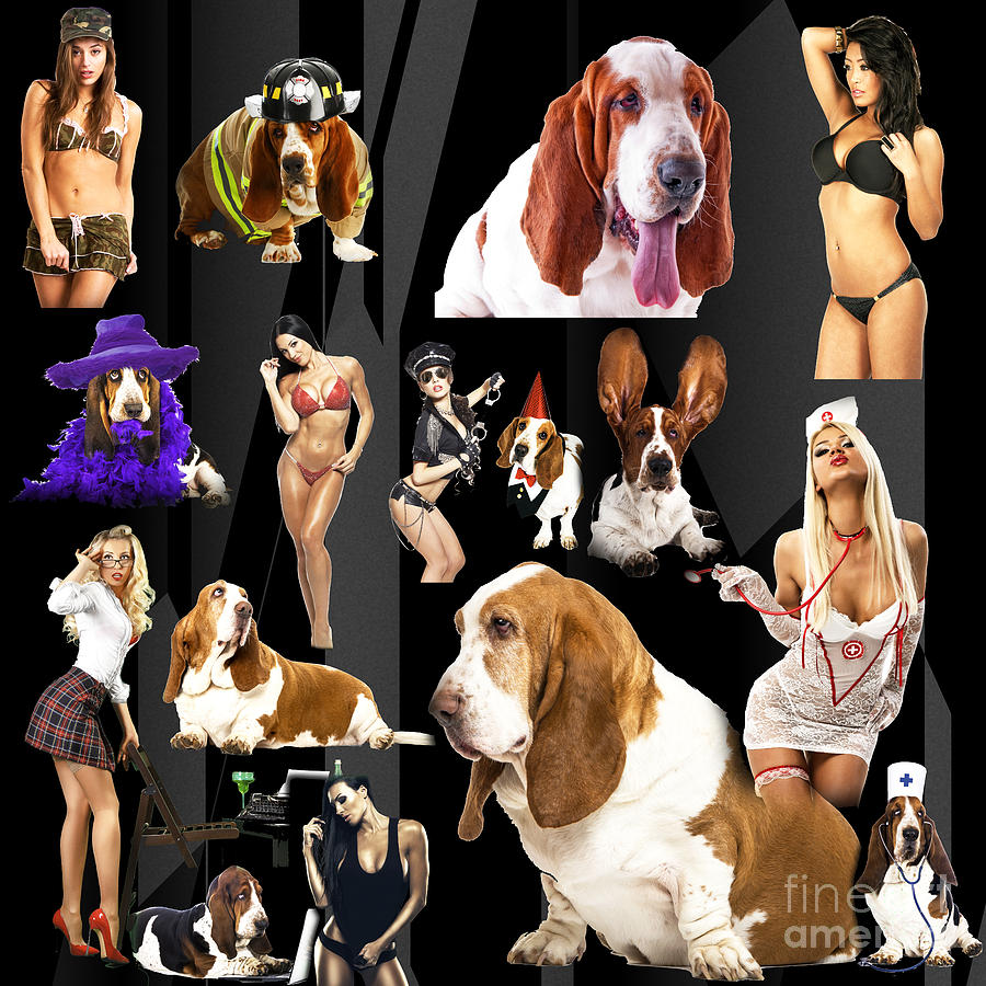 Unique Photograph - Bassets and Babes by John Rizzuto
