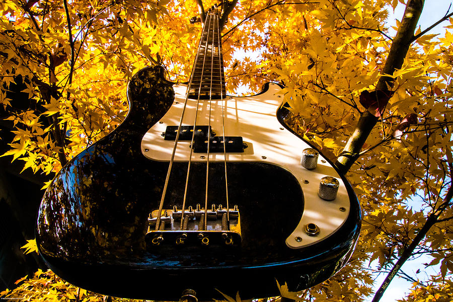 Bassic Autumn Photograph by Mick Anderson