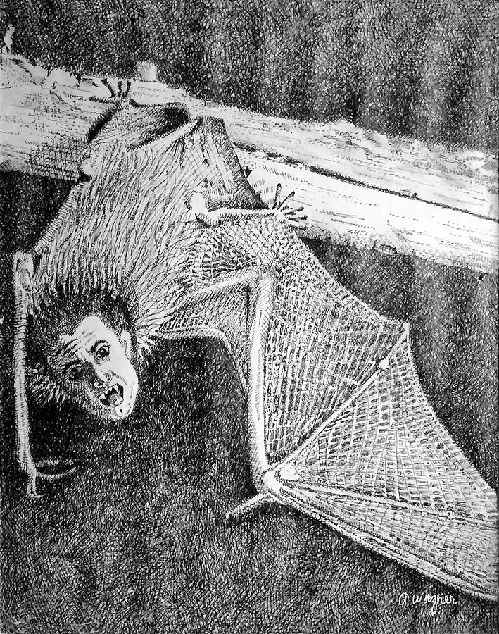 Bat Man Drawing by Arline Wagner