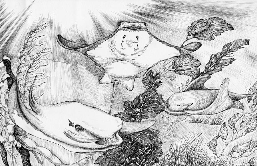 Bat Ray by Minki Shin 6th grade Drawing by California Coastal Commission