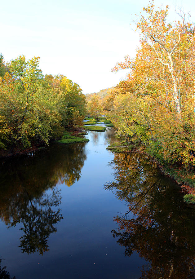 Batavia, Ohio Creek - Other Side Vertical Photograph by Lorraine Baum