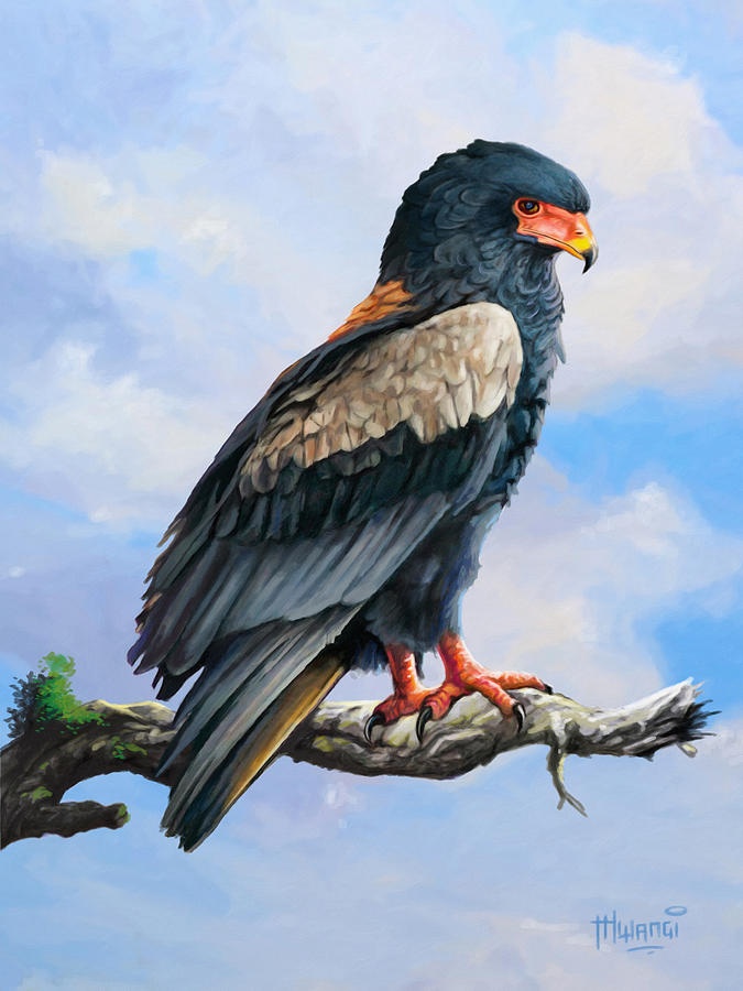 Bateleur Eagle Painting by Anthony Mwangi
