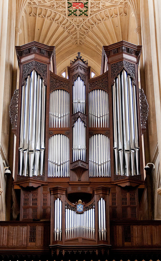 Bath Abbey organ Photograph by Jenny Setchell