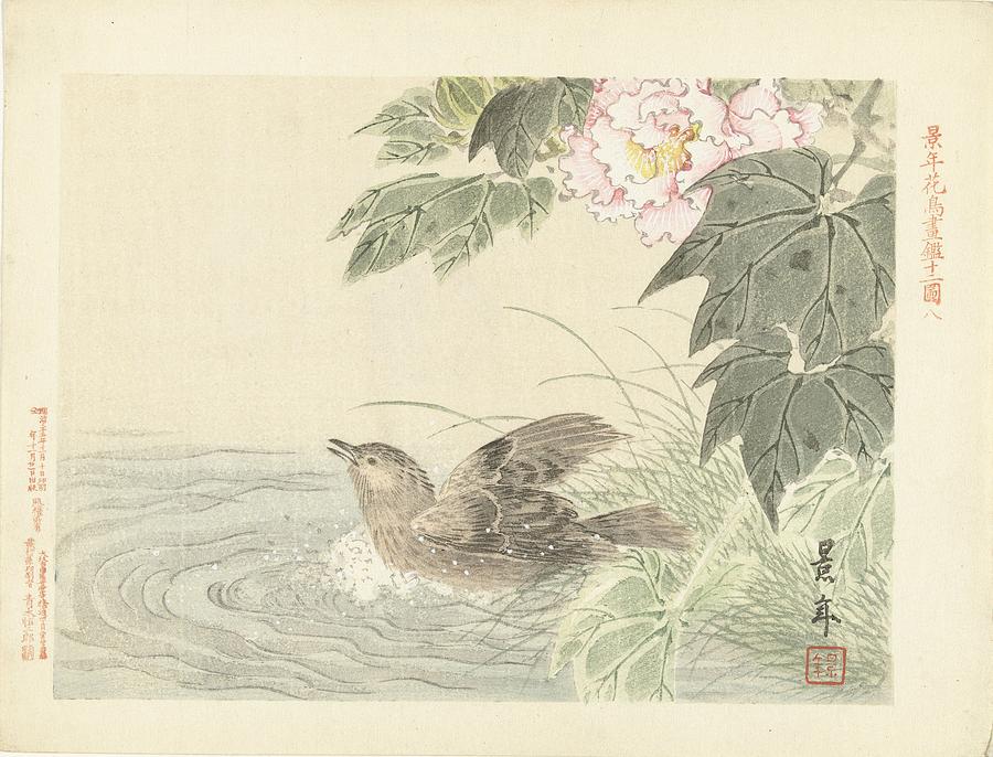 Bathing bird with pink flower Painting by Imao Keinen