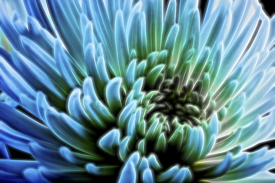 Flower Digital Art - Bathing in Blue II by Jon Glaser