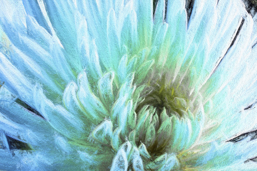 Flower Digital Art - Bathing in Blue III by Jon Glaser