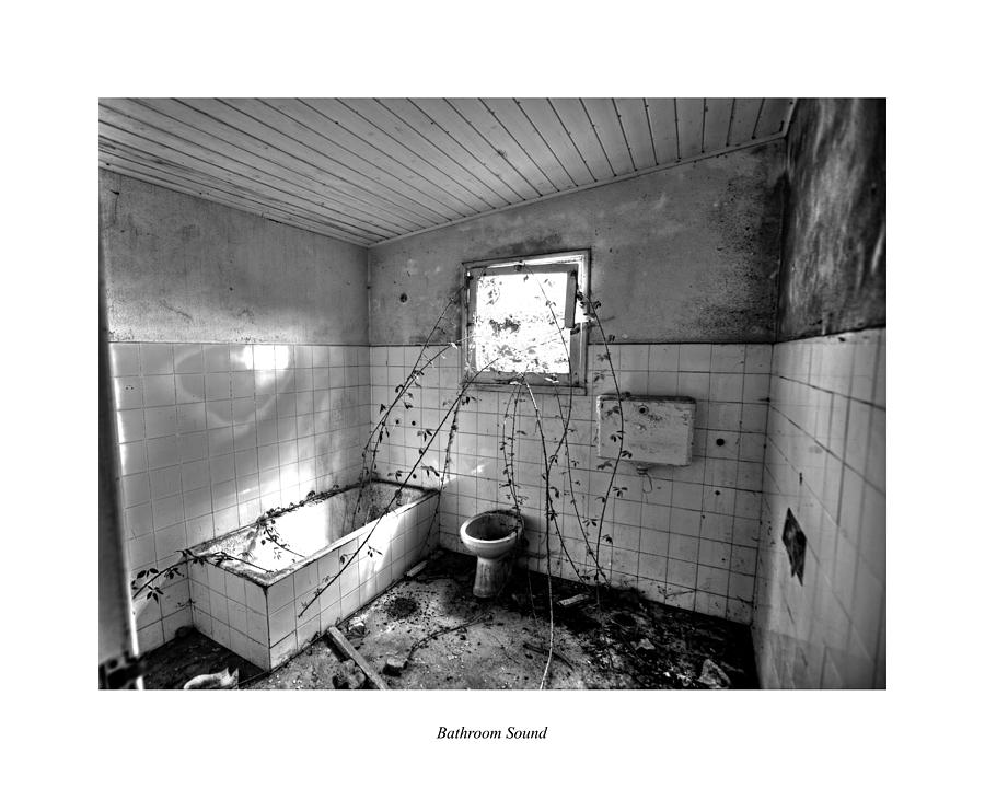 Bathroom Sound Photograph by Joseph Amaral