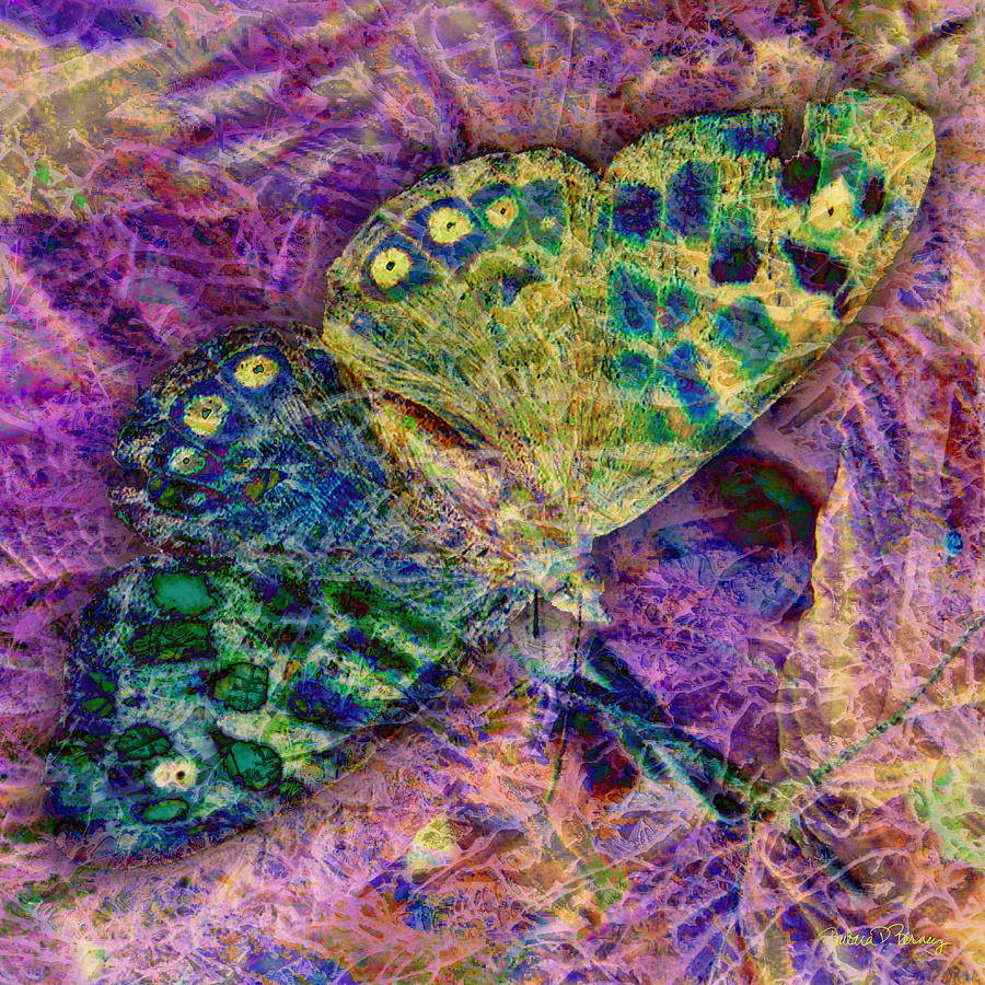 Batik Butterfly Digital Art by Barbara Berney