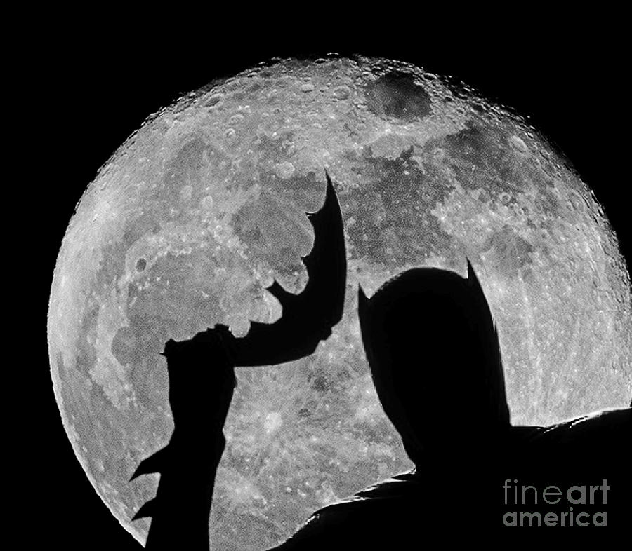 Batman Silhouette Digital Art by David Caldevilla