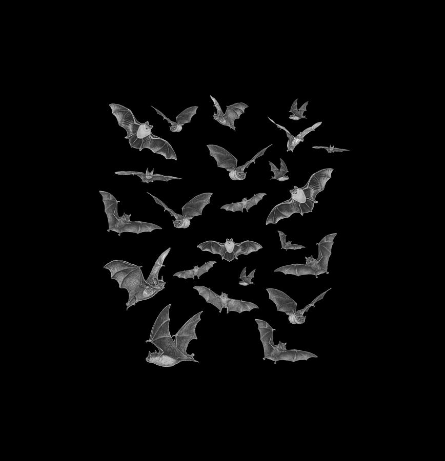 Bats Digital Art by Brian Wallace
