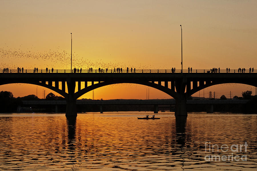 Bats fly from the Congress Bridge in Austin, Texas as kayakers watch the spectacle bat flight Photograph by Dan Herron