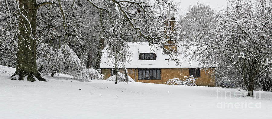 Batsford Arboretum in Winter Photograph by Tim Gainey