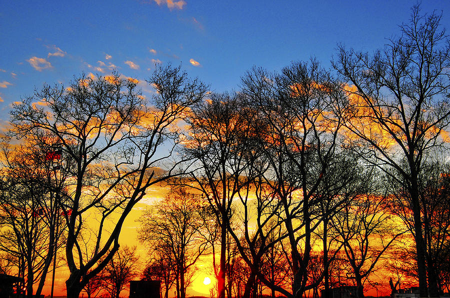 Sunset Photograph - Battery Park Sunset by Randy Aveille