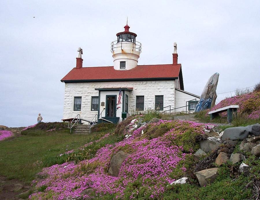 Battery Point Lighthouse Photograph by Adrienne Wilson