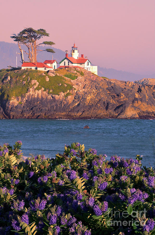 Battery Point Lighthouse Photograph by Jill Battaglia