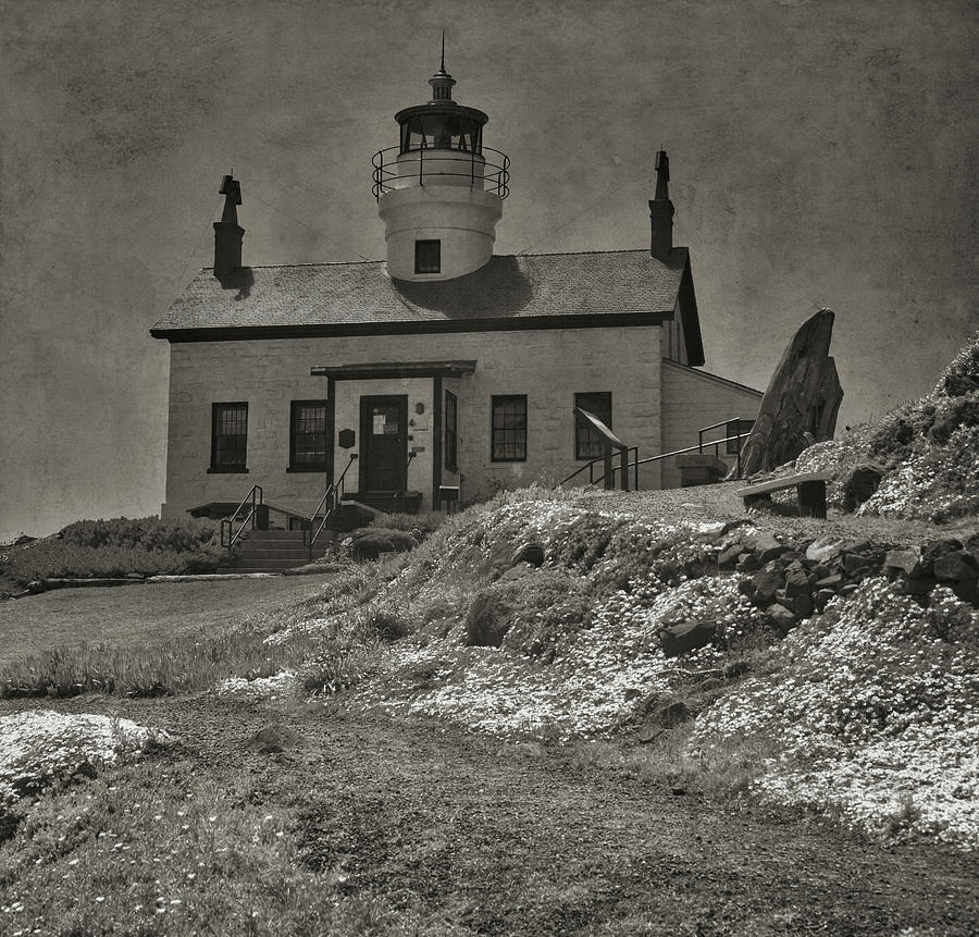 Battery Point Lighthouse Postcard Photograph