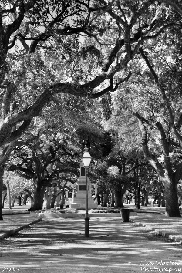 Battery Point Park Black and White Photograph by Lisa Wooten