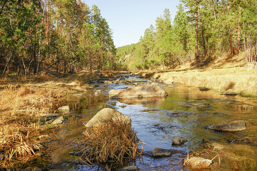 Battle Creek by Bill Gabbert Battle Creek by Bill Gabbert
