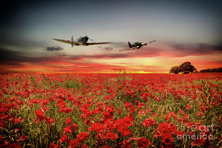 Battle Of Britain Warriors Digital Art by Airpower Art