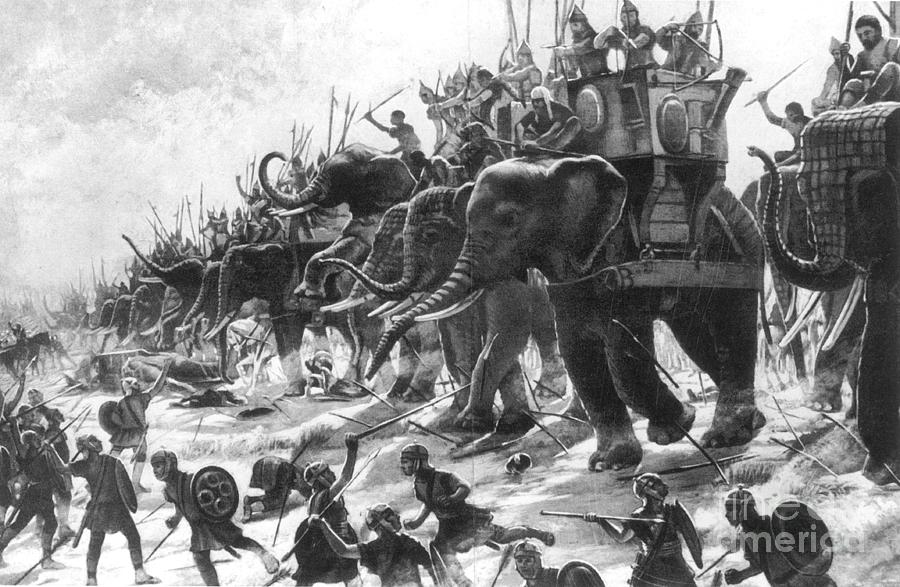 Elephant Photograph - Battle Of Zama, Hannibals Defeat by Photo Researchers