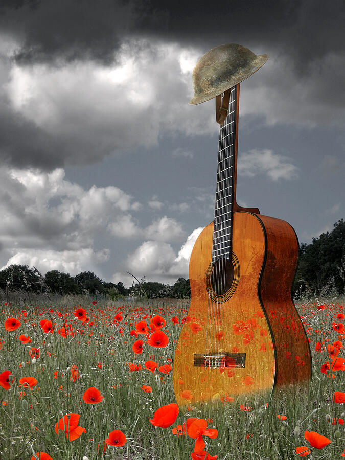 Battlefield Blues - Guitar In Poppy Field Photograph by Gill Billington