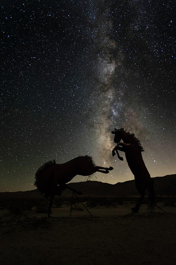 Battling Horses Photograph by Scott Cunningham