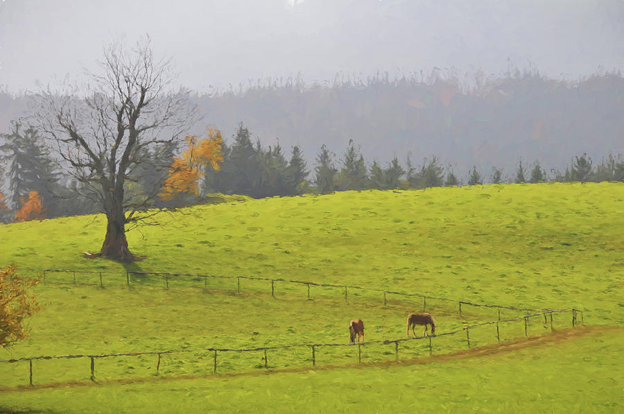 Bavaria Pasture Photograph by Curt Rush