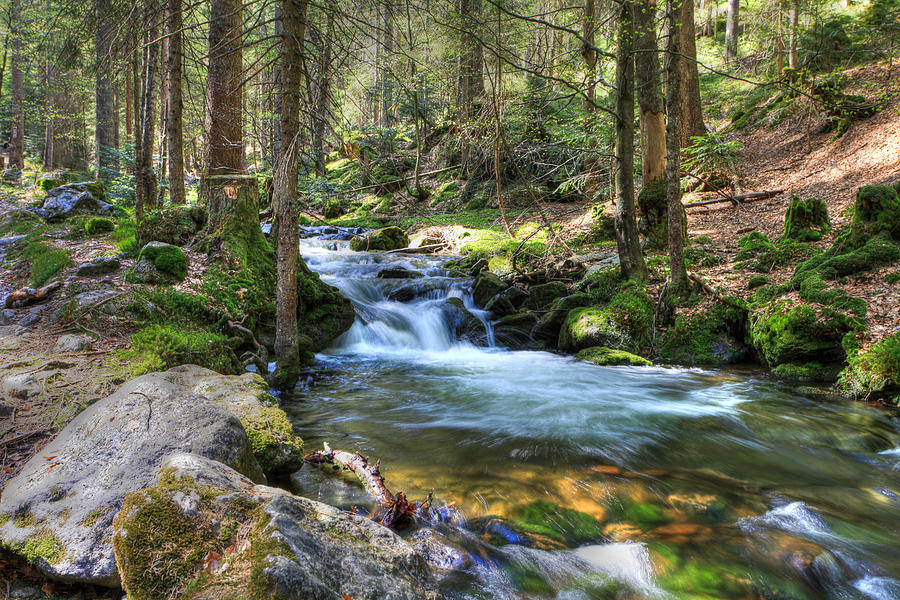 Bavarian Stream Photograph by Sean Allen