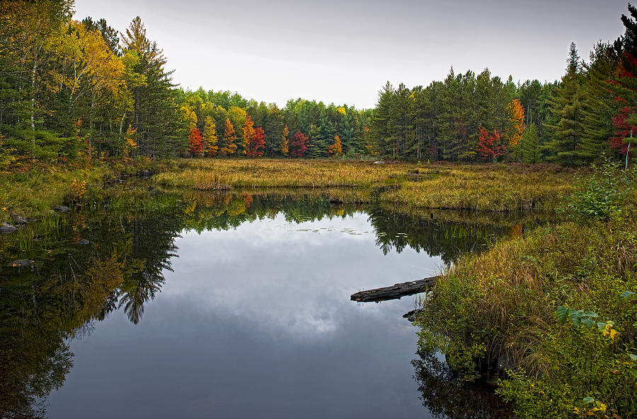 Baxter State Park Small Pond in Autumn Maine Photograph by Brendan Reals