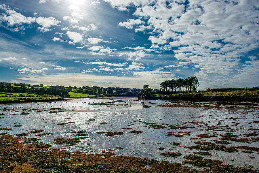 Bay at Low Tide in Clonakilty in Ireland Photograph by Andreas Berthold