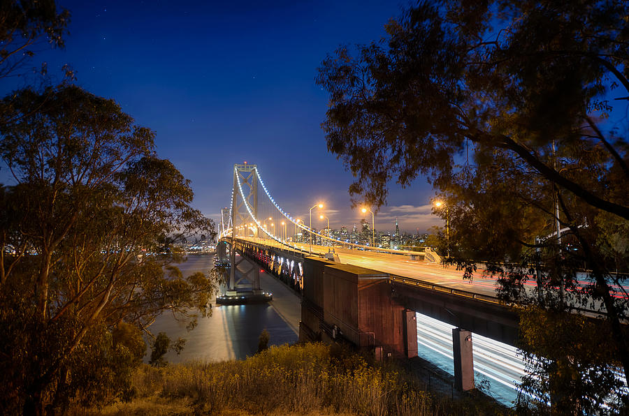 Bay Bridge View Photograph by Bo Nielsen