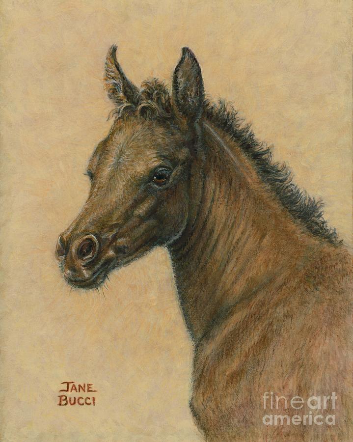 Bay Colt Painting by Jane Bucci