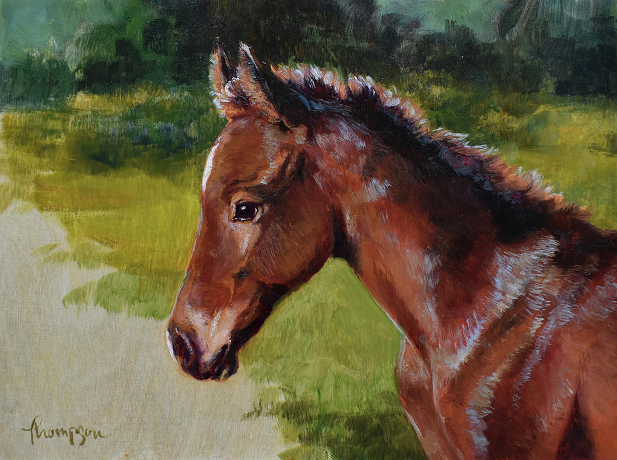 Horse Painting - Bay Foal by Tracie Thompson