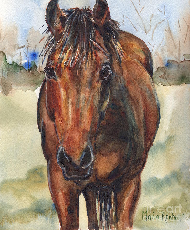 Bay horse painting in watercolor Painting by Maria Reichert