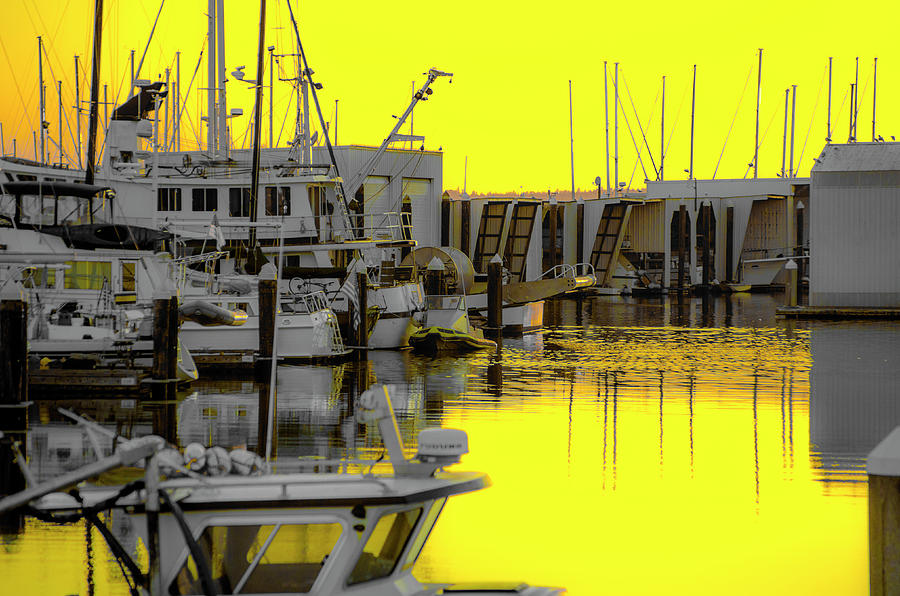 Bay In Yellow Photograph by Craig Perry-Ollila