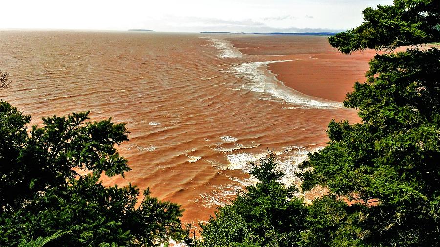 Bay Of Fundy 4 Photograph By Olga Zavgorodnya Fine Art America   Bay Of Fundy 4 Olga Zavgorodnya 