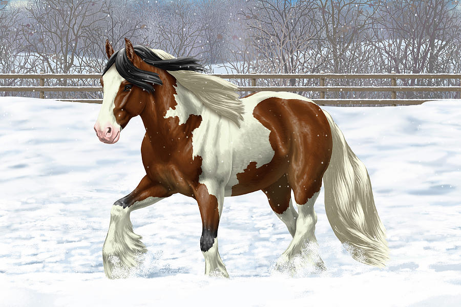 Bay Pinto Gypsy Vanner In Snow Painting by Crista Forest