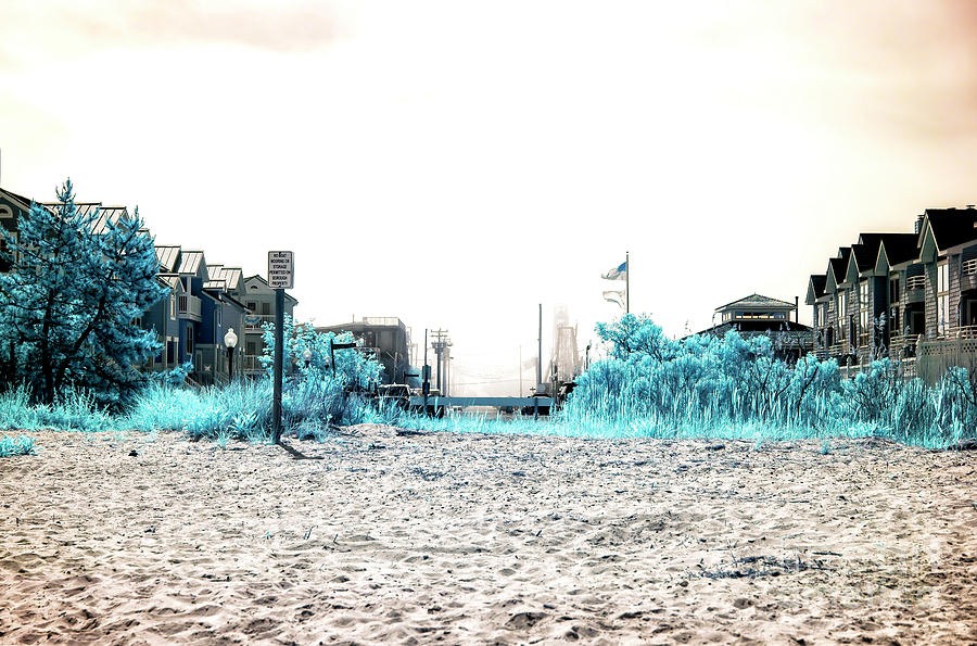 Bay Side Beach Infrared Photograph by John Rizzuto