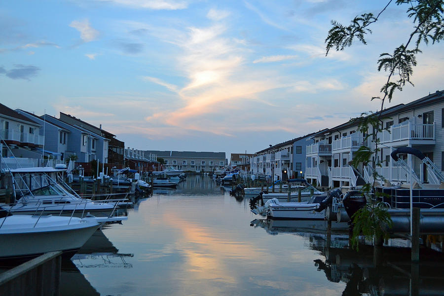 Bay side Photograph by Michael Hills - Fine Art America