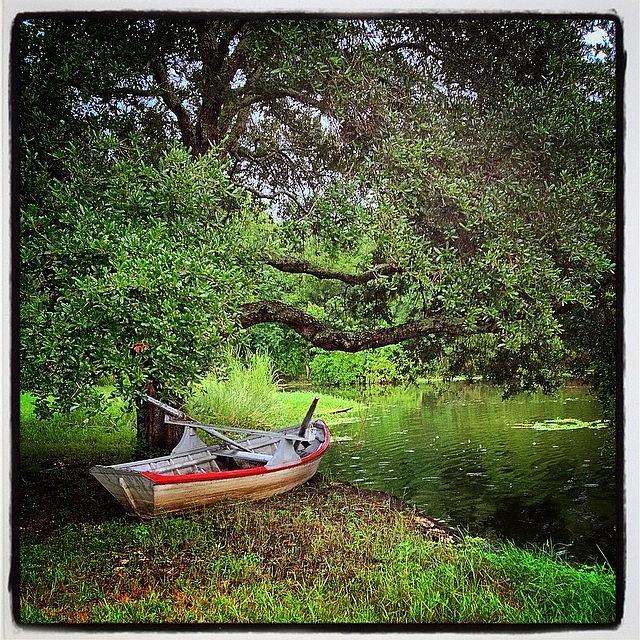 Louisiana Photograph - Bayou Bateau #louisiana by Alexis Fleisig
