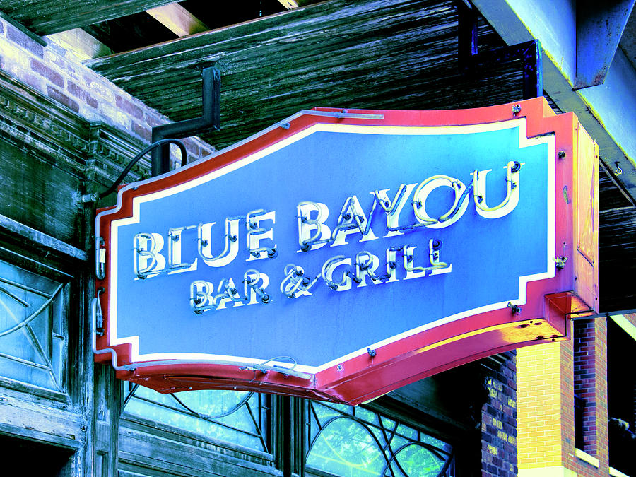 BAYOU CLASSIC Blue Bayou Photograph by William Dey