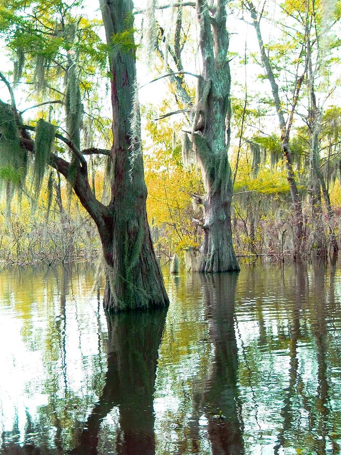 Bayou in Yellow Photograph by Gina Welch | Fine Art America