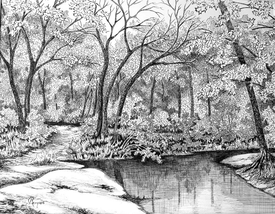 Bayou at Peacegrove Drawing by Colleen Marquis Fine Art America