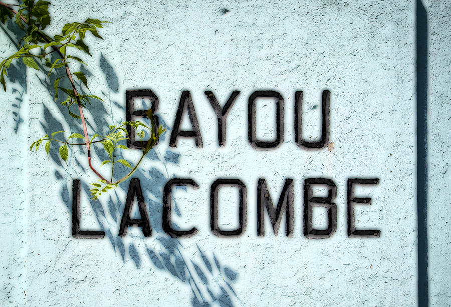 Bayou Photograph - Bayou Lacombe Bridge by Federico Arce